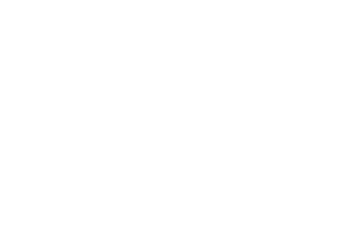 silentLinerunner_logo